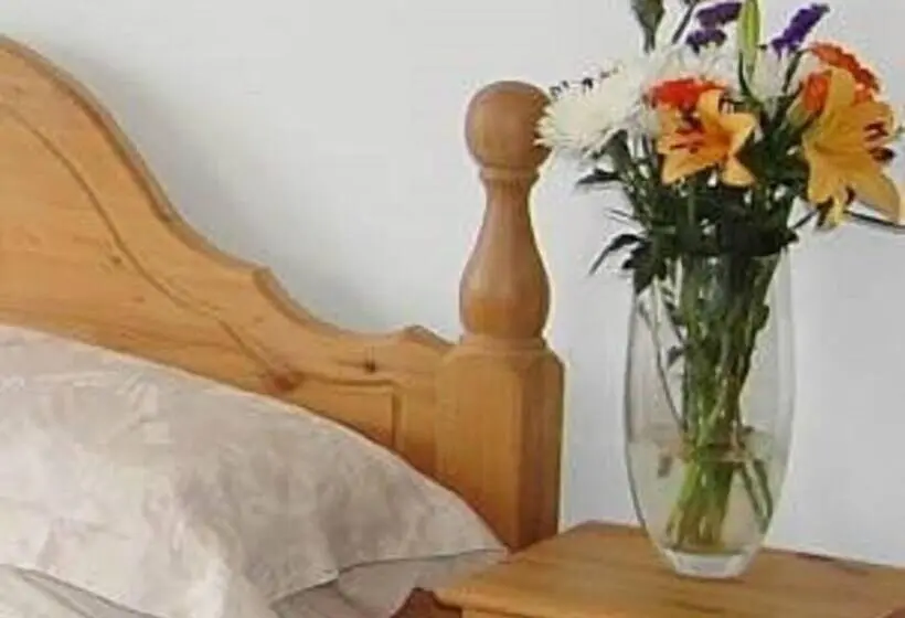 ガーデンビュースタンダードルーム, The Olive Branch