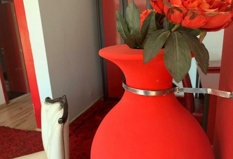 דירת חדר, Rosa Blu