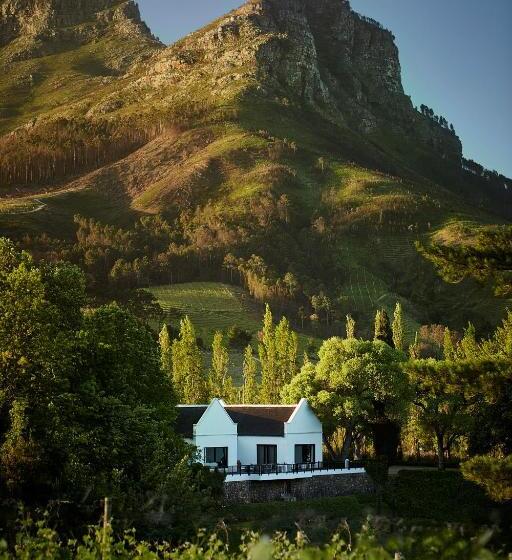 Suite Deluxe, Molenvliet Vineyards