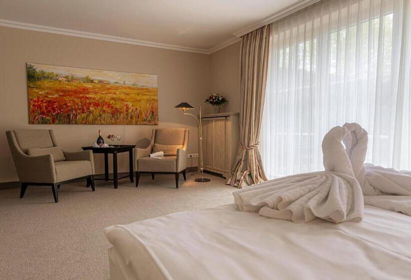 수피리어 테라스 룸, Strandhotel Fontana