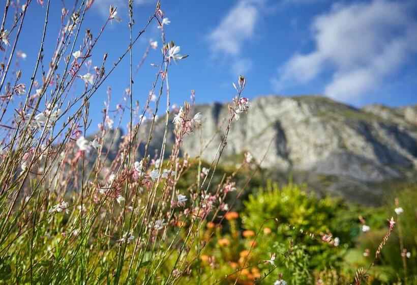 سوئیت جونیور با چشمانداز کوهستان, The Thatch House Boutique Hotel, Hermanus