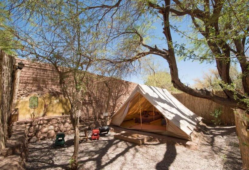 چادر با خدمات رفاهی استاندارد, Aji Verde Hostel San Pedro