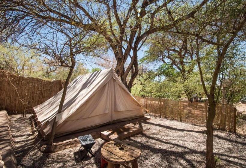 Standard Tent, Aji Verde Hostel San Pedro