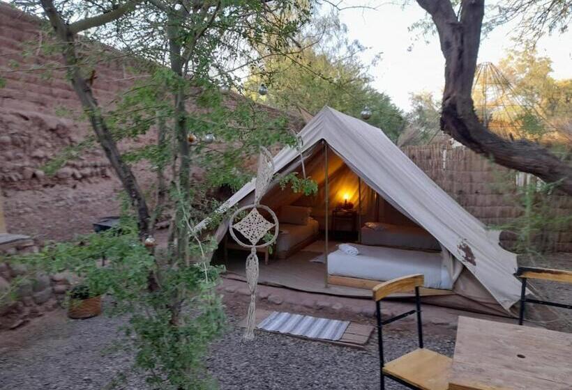 چادر با خدمات رفاهی استاندارد, Aji Verde Hostel San Pedro