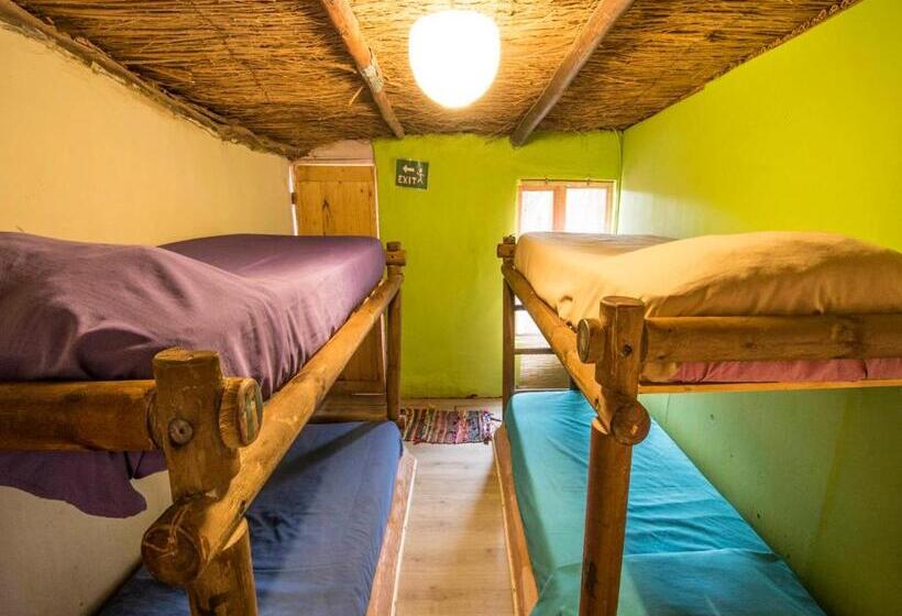 تختخواب در اتاق مشترک, Aji Verde Hostel San Pedro