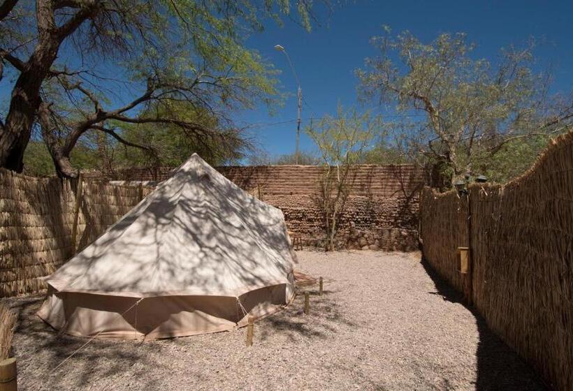 Superior Tent, Aji Verde Hostel San Pedro