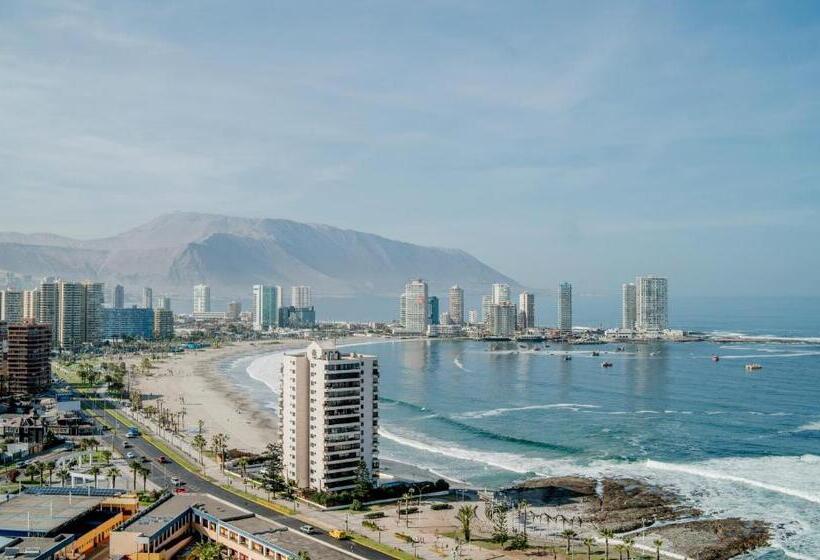 디럭스 스위트, Gran Cavancha Hotel & Apartment