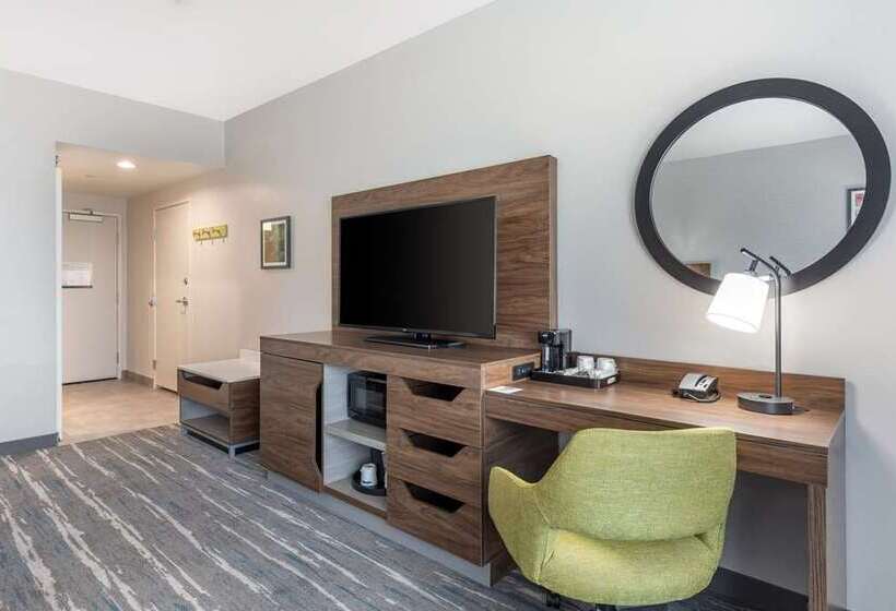 غرفة قياسية لذوى الاحتياجات الخاصة, Hampton Inn Big Rapids