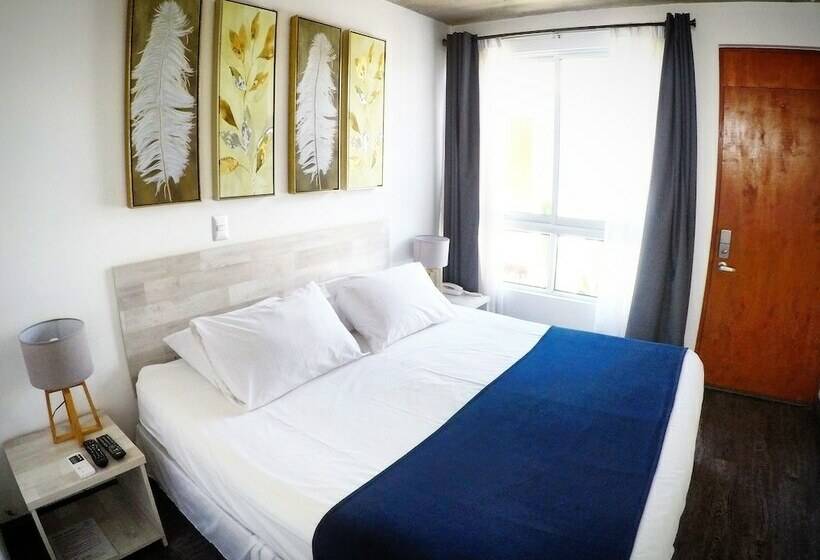 اتاق استاندارد, Puerto Chinchorro