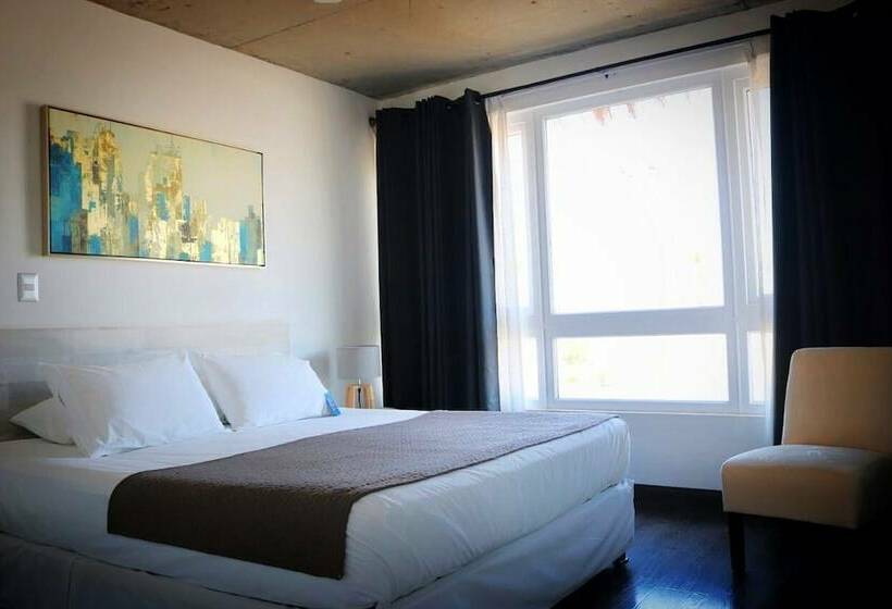 اتاق سوپریور, Puerto Chinchorro