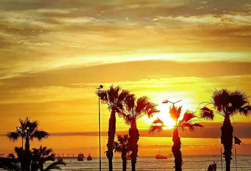 اتاق سوپریور, Puerto Chinchorro