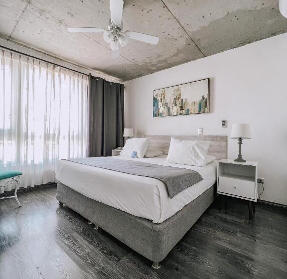 اتاق سوپریور, Puerto Chinchorro