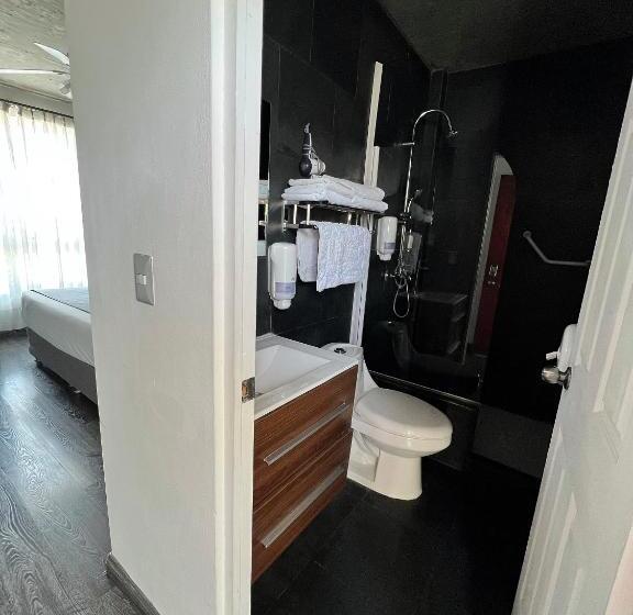 اتاق سوپریور, Puerto Chinchorro