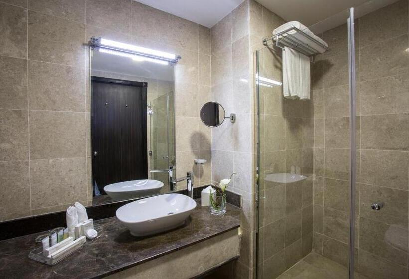 اتاق سوپریور با تخت بزرگ, The Town Hotel Doha