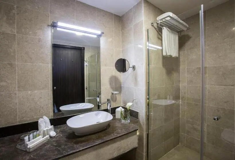 اتاق سوپریور با تخت بزرگ, The Town Hotel Doha