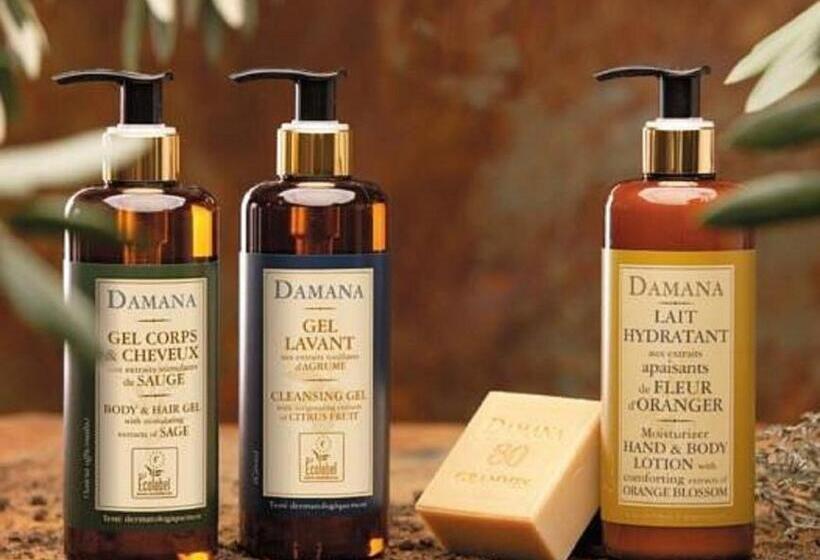 اتاق سوپریور با تخت بزرگ, The Town Hotel Doha