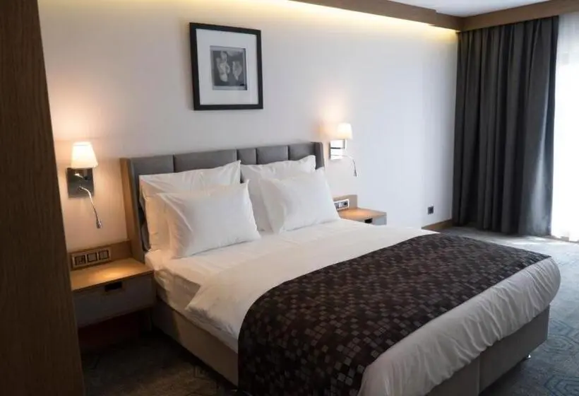 Superior Room King Size Bed