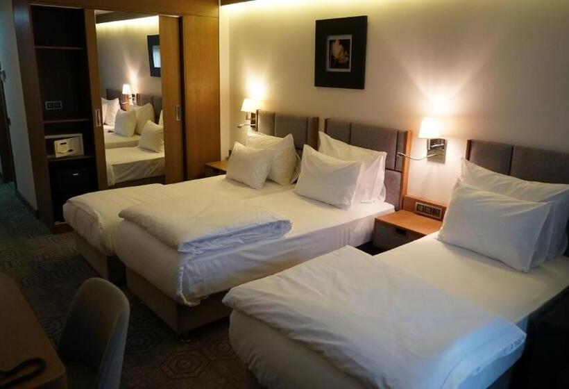 Triple Standard Room with Views