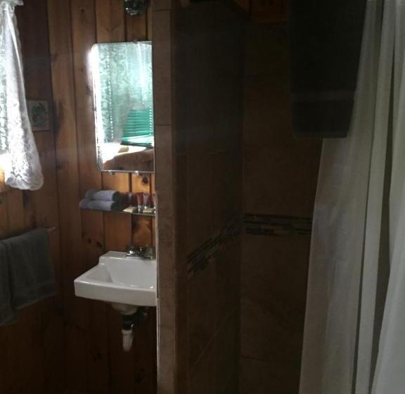 Стандартный Номер Кровать Кинг, Adoba® Hotel Naubinway