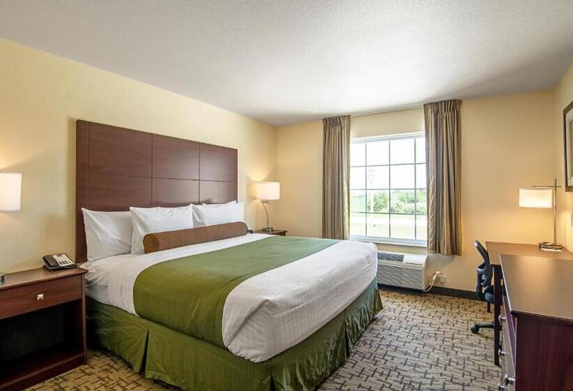 身障者適用キングサイズベッドルーム, Cobblestone Hotel & Suites   Paxton