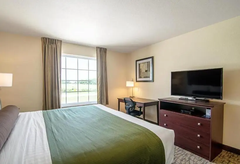 身障者適用キングサイズベッドルーム, Cobblestone Hotel & Suites Paxton