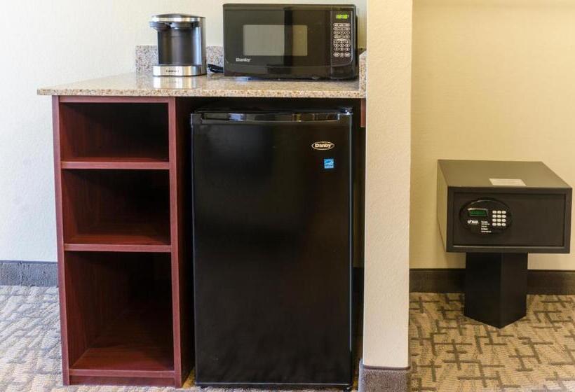 身障者適用キングサイズベッドルーム, Cobblestone Hotel & Suites   Paxton