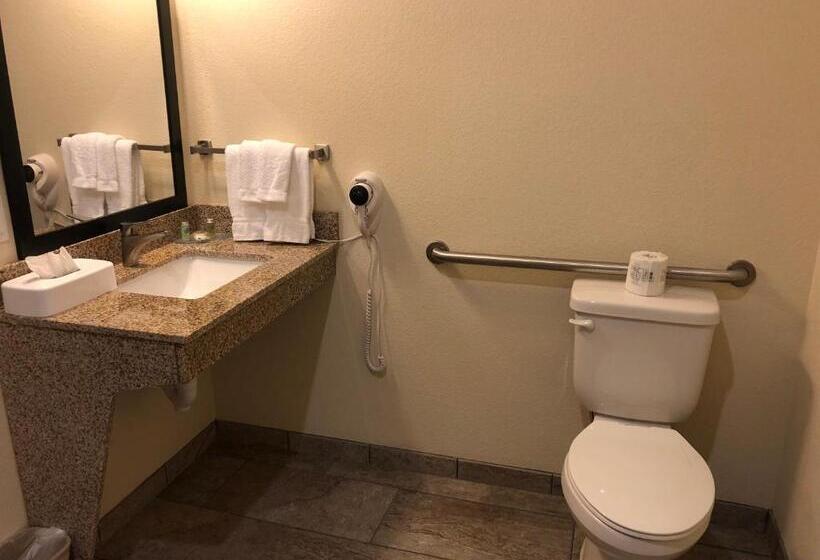 身障者適用キングサイズベッドルーム, Cobblestone Hotel & Suites   Paxton