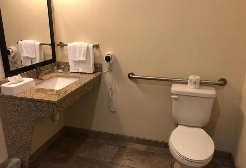 身障者適用キングサイズベッドルーム, Cobblestone Hotel & Suites Paxton