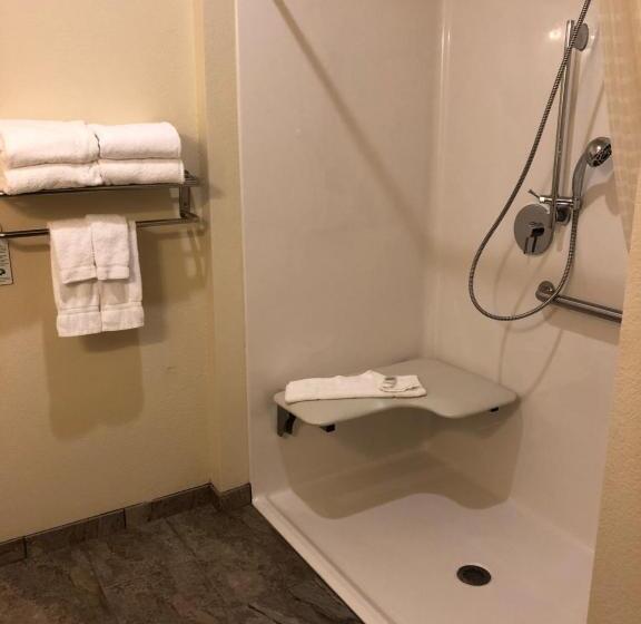 身障者適用キングサイズベッドルーム, Cobblestone Hotel & Suites   Paxton