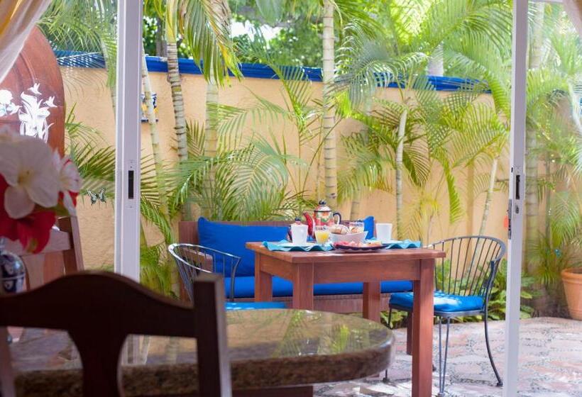 キングサイドベッドのスタンダードワンルーム, Abbey Del Sol