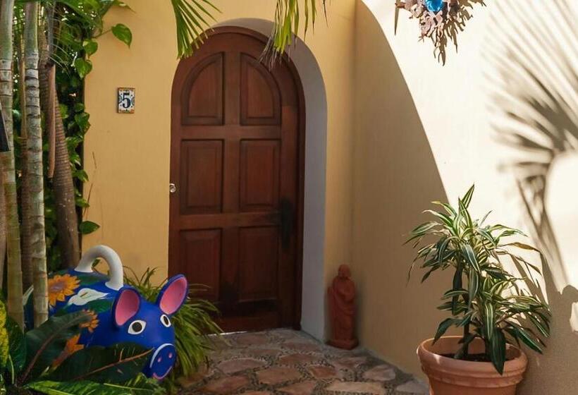 キングサイドベッドのスタンダードワンルーム, Abbey Del Sol