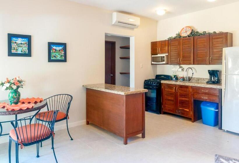 バルコニー付き1ベッドルームアパートメント, Abbey Del Sol