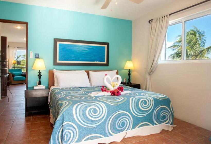 テラス付き1ベッドルームアパートメント, Abbey Del Sol