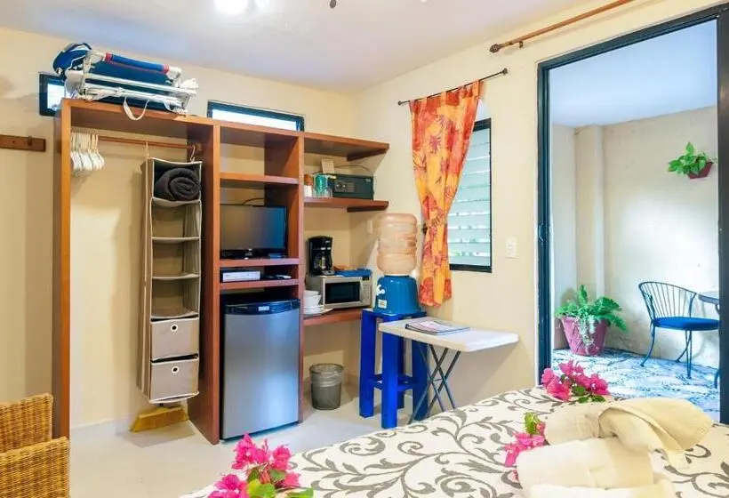 استودیوی استاندارد, Abbey Del Sol   Tropical Escape Near Beach In Puerto Morelos