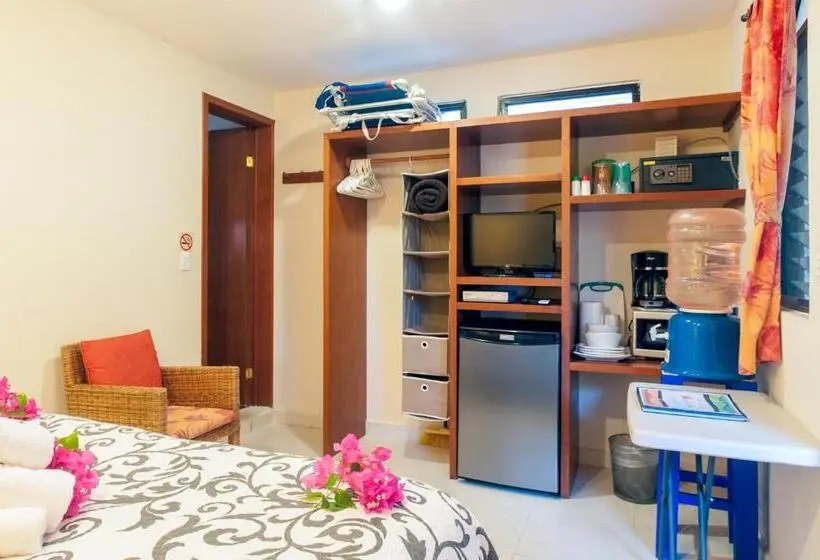 استودیوی استاندارد, Abbey Del Sol   Tropical Escape Near Beach In Puerto Morelos