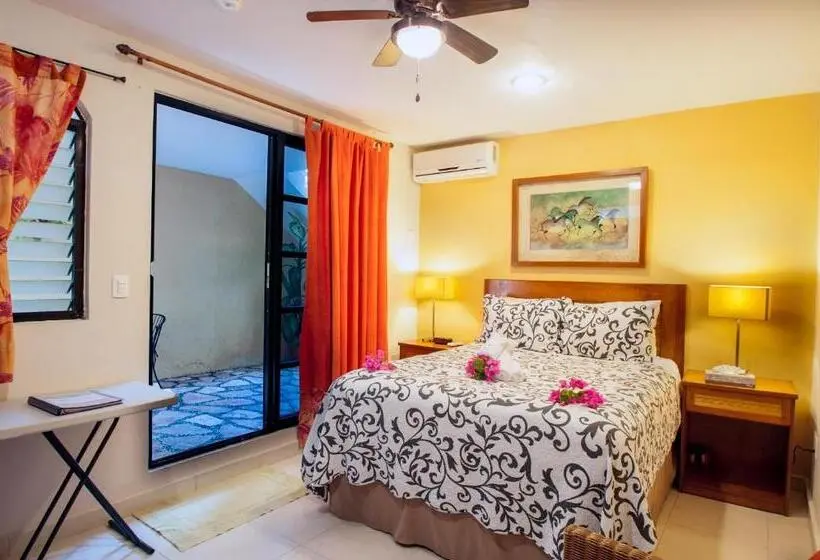 استودیوی استاندارد, Abbey Del Sol   Tropical Escape Near Beach In Puerto Morelos