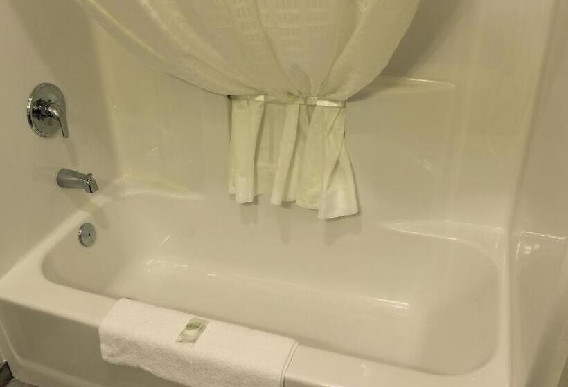 스위트 킹사이즈 침대, Cobblestone Inn & Suites Lamoni