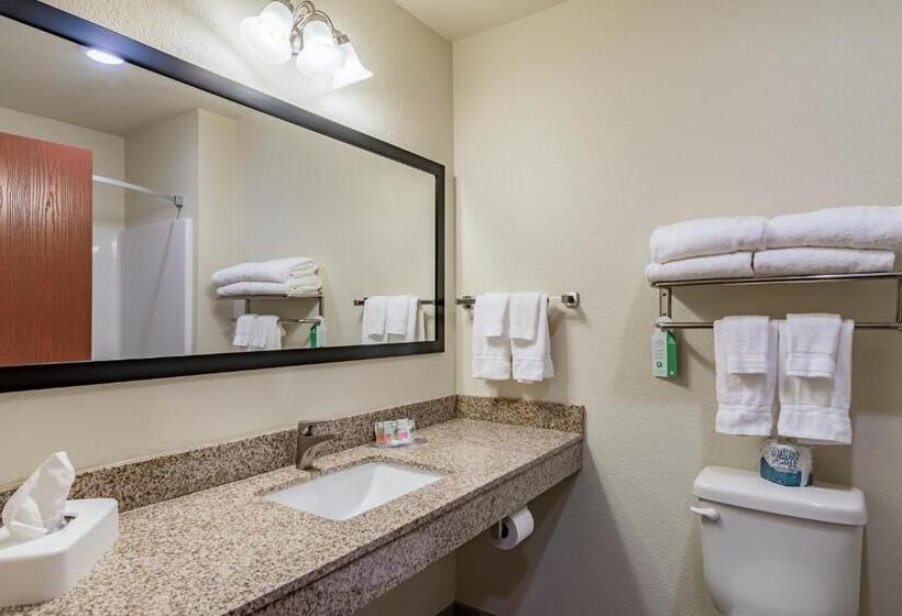 스탠다드 룸 킹사이즈 침대, Cobblestone Inn & Suites   Lamoni
