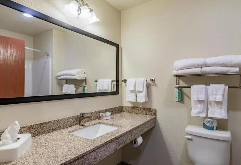 キングサイズベッドのデラックスルーム, Cobblestone Inn & Suites   Lamoni
