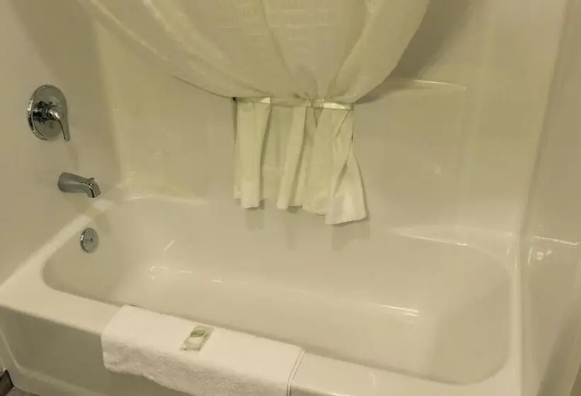 キングサイズベッドのデラックスルーム, Cobblestone Inn & Suites   Lamoni