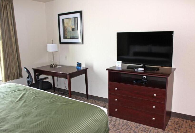 스탠다드 룸 킹사이즈 침대, Cobblestone Inn & Suites   Lamoni