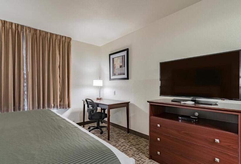 스탠다드 룸 킹사이즈 침대, Cobblestone Inn & Suites   Lamoni