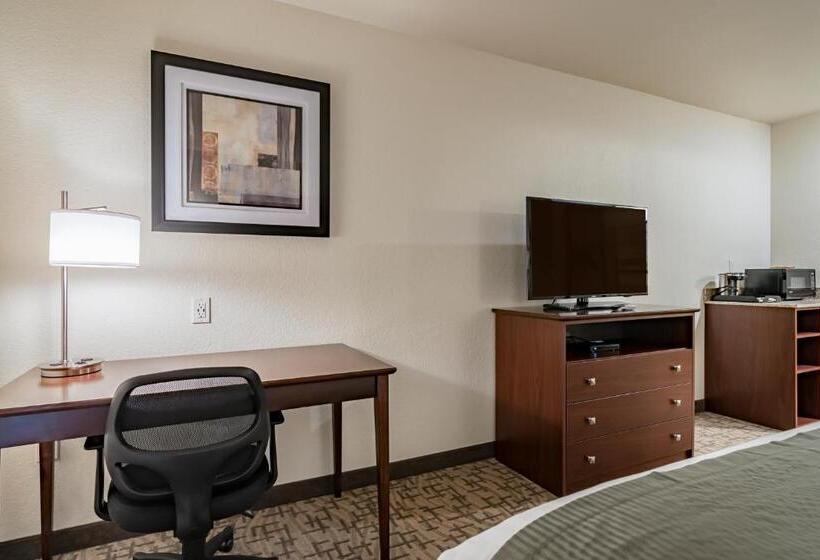 스탠다드 룸 킹사이즈 침대, Cobblestone Inn & Suites Lamoni