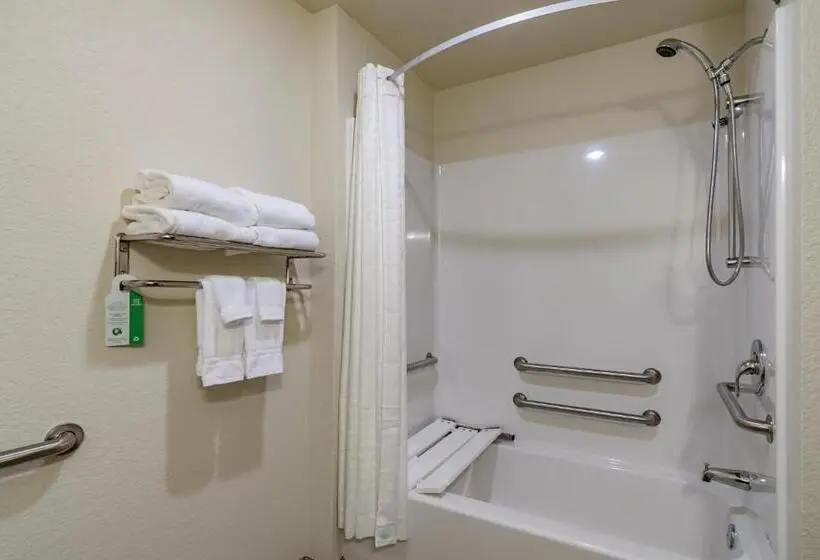 身障者適用キングサイズベッドルーム, Cobblestone Inn & Suites   Lamoni