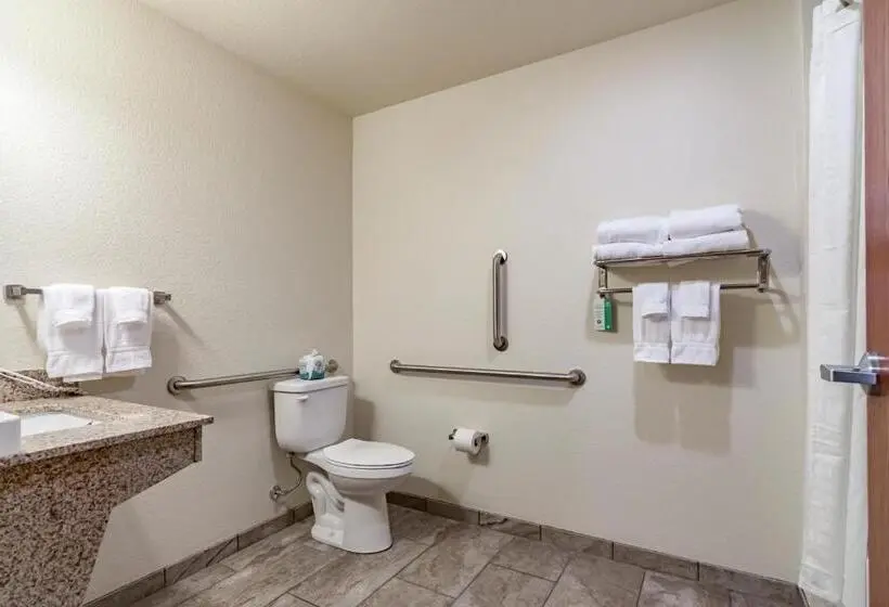 身障者適用キングサイズベッドルーム, Cobblestone Inn & Suites   Lamoni