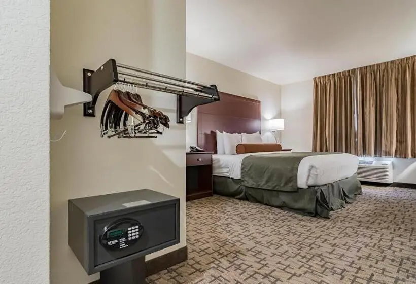 身障者適用キングサイズベッドルーム, Cobblestone Inn & Suites   Lamoni