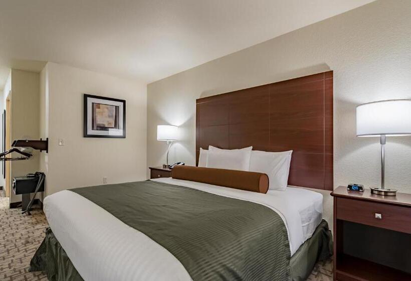 장애인을 위한 킹사이즈 침대 스탠다드 룸, Cobblestone Inn & Suites Lamoni