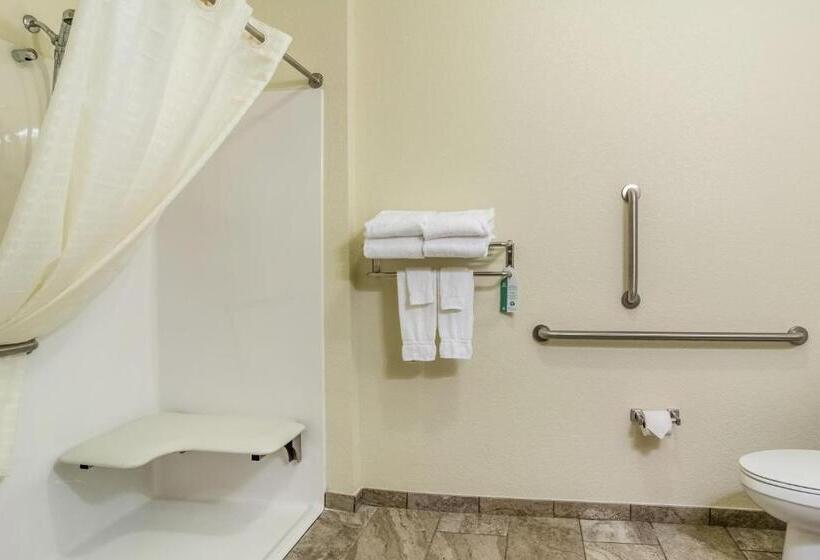 장애인을 위한 킹사이즈 침대 스탠다드 룸, Cobblestone Inn & Suites   Lamoni