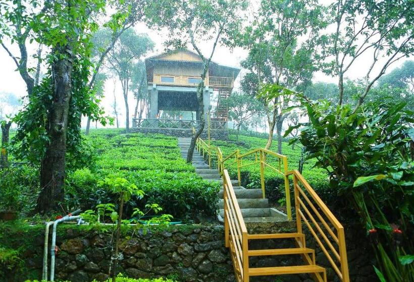 带大床的标准间, Holiday Vagamon