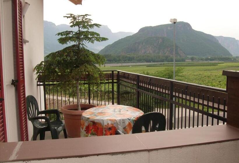 غرفة قياسية فردية, Gasthaus Pension Flora